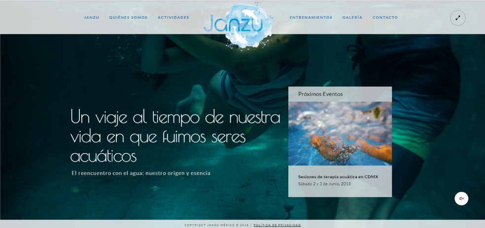 Janzu-Mexico https://www.janzu.com.mx/